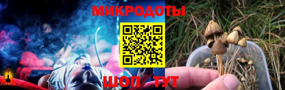 Галлюциногенные грибы Psilocybe Когалым